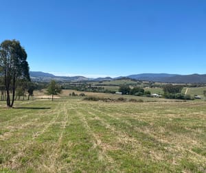 Allot. 11 Sec. 9 Switchback Road Mudgegonga VIC 3737 - Image 3