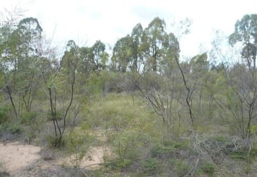Lot 167 Thegathlyn Road Tara QLD 4421 - Image 3
