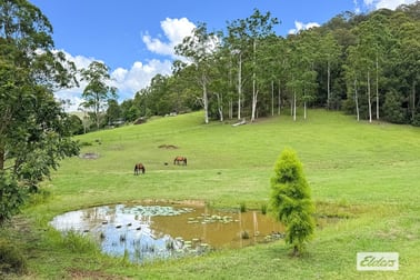 60 Brush Creek Road Cedar Brush Creek NSW 2259 - Image 2