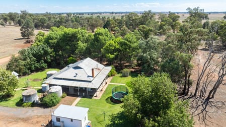 153 Balldale-Coreen Road Corowa NSW 2646 - Image 2