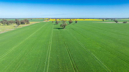 153 Balldale-Coreen Road Corowa NSW 2646 - Image 2