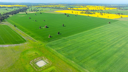 153 Balldale-Coreen Road Corowa NSW 2646 - Image 1