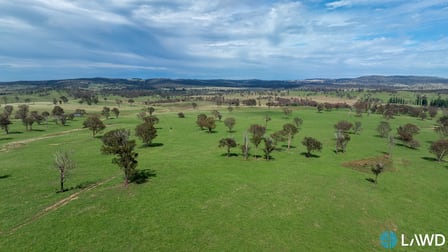 Alora-Mia Kellys Road Armidale NSW 2350 - Image 1