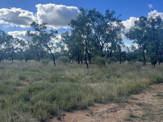 Flinders Highway Torrens Creek QLD 4816 - Image 3