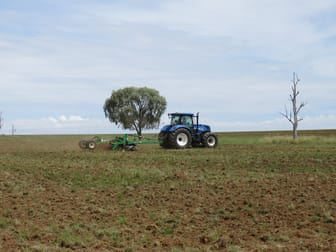 "Wollaroi" Bangheet Road Bingara NSW 2404 - Image 1