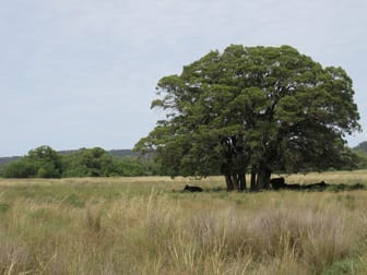 "Wollaroi" Bangheet Road Bingara NSW 2404 - Image 2