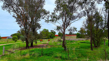 1123 Kamilaroi Highway Quirindi NSW 2343 - Image 3
