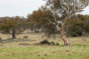 "Kalkite Park" Lot 3 Hilltop Road Hill Top NSW 2628 - Image 3