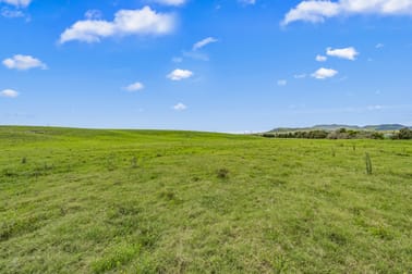 321 Mitchells Flat Road Singleton NSW 2330 - Image 3