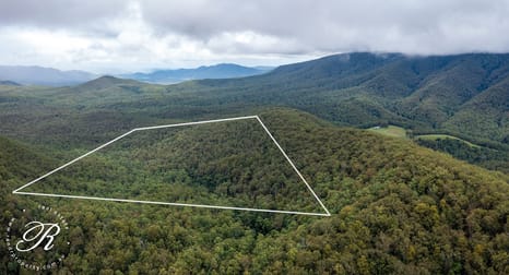 Berrico NSW 2422 - Image 1