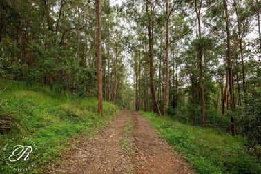 Berrico NSW 2422 - Image 2