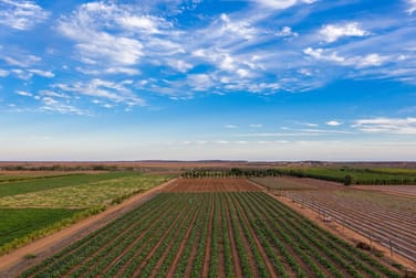 124 South River Road Carnarvon WA 6701 - Image 1