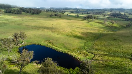3511 Pinkett Road Pinkett NSW 2370 - Image 3