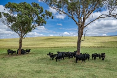1753 Yangan Killarney Road Killarney QLD 4373 - Image 2
