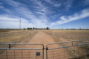 LOT 1/DP52282 Bull Plain Road Mulwala NSW 2647 - Image 2