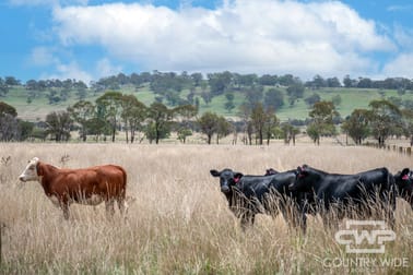 638 Furracabad Road Glen Innes NSW 2370 - Image 2