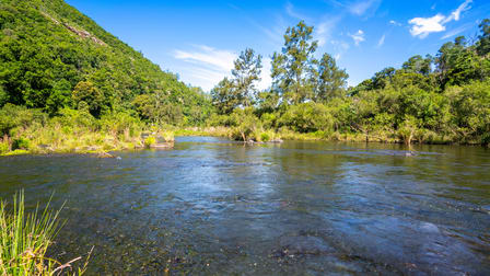 668 Cundle Flat Road Cundle Flat NSW 2424 - Image 3