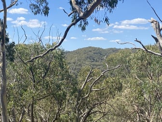 Bald Ridge Road Bald Ridge NSW 2795 - Image 1