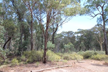 Bald Ridge Road Bald Ridge NSW 2795 - Image 2