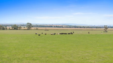 2/ Denison Road Nambrok VIC 3847 - Image 2