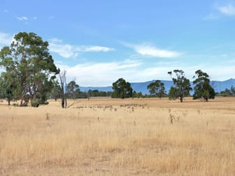 2/ Cotton Street Longford TAS 7301 - Image 2