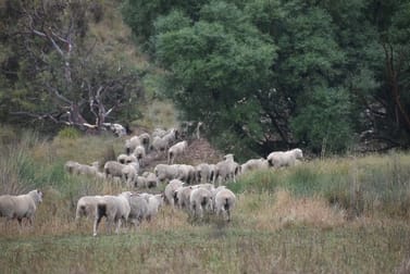 1790 Taralga Road Goulburn NSW 2580 - Image 2