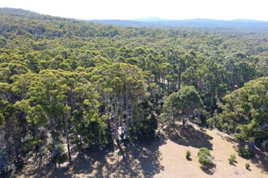 LOT 1 BRIDPORT ROAD Pipers River TAS 7252 - Image 1