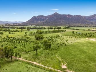 2766 Glen Davis Road Glen Davis NSW 2846 - Image 2