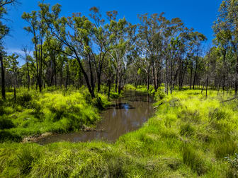 Tara QLD 4421 - Image 2