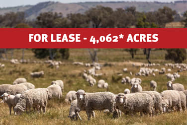 Bogolara Road Jugiong NSW 2726 - Image 1