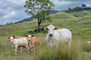 101 Silburn Road Goomeribong QLD 4601 - Image 1