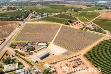 Click to view all images 543 Mcedward Street Birdwoodton VIC 3505 - Image 1