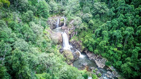 Dorrigo NSW 2453 - Image 1