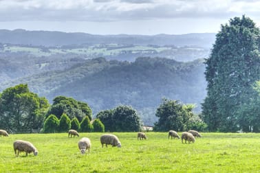 Dorrigo NSW 2453 - Image 3
