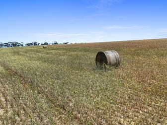 Click to view all images 2293 & 2640 Mallee Highway Sherlock SA 5301 - Image 2