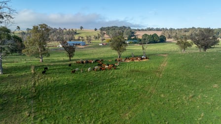 1853 Nowendoc Road Niangala NSW 2354 - Image 1