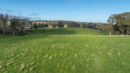 1853 Nowendoc Road Niangala NSW 2354 - Image 2