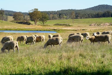 16323 Hume Highway Marulan NSW 2579 - Image 2