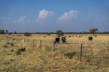 Mentone 1521 Bruie Plains Road Trundle NSW 2875 - Image 3