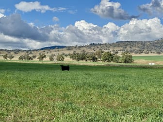 "Cedar Tops" 877 Swinging Ridges Road Willow Tree NSW 2339 - Image 3