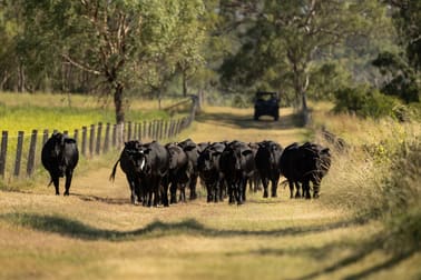 "Hi-View" 299 Hudson Road Felton QLD 4358 - Image 1