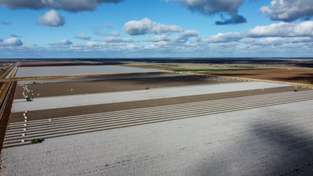 Hay NSW 2711 - Image 1