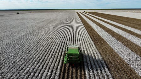 Hay NSW 2711 - Image 3