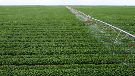 Click to view all images Hillston NSW 2675 - Image 1