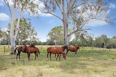 148 Alexander Lane Harrisville QLD 4307 - Image 1