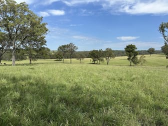 Singleton NSW 2330 - Image 1