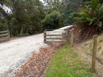 220 Raymond Road Gunns Plains TAS 7315 - Image 3