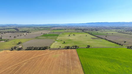 Lot 301 Warral-Bithramere Road Tamworth NSW 2340 - Image 2