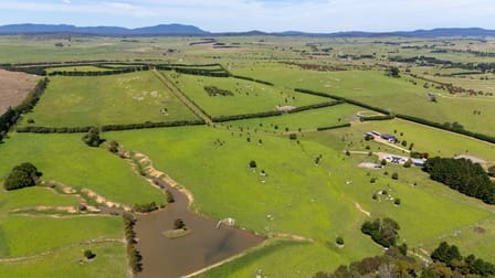 11191 Nerriga Road Braidwood NSW 2622 - Image 3