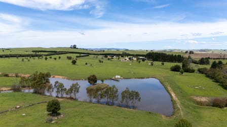 11191 Nerriga Road Braidwood NSW 2622 - Image 2